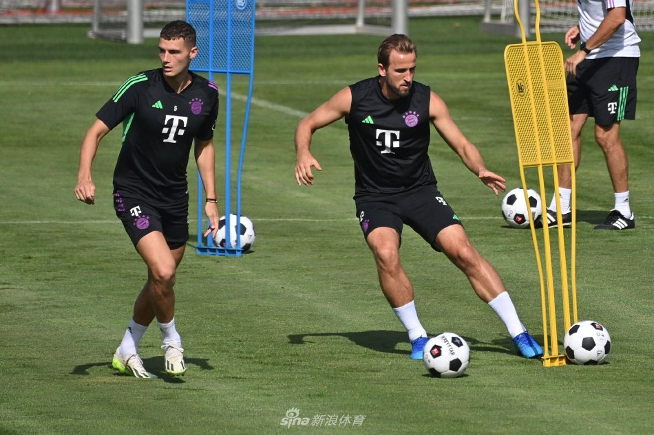 了球不应被 了球不应被