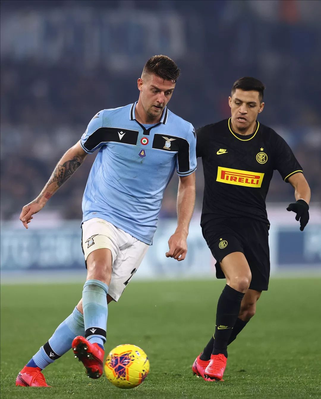 色的覆盖面 色的覆盖面